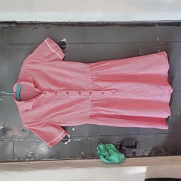 Vintage Gingham Dress - Picture 11 of 13